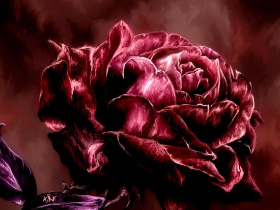 Багряная роза