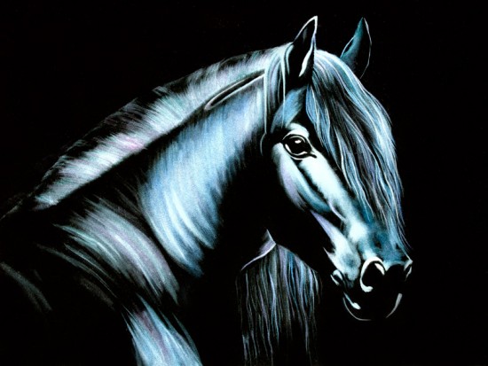 Белая лошадь на черном фоне