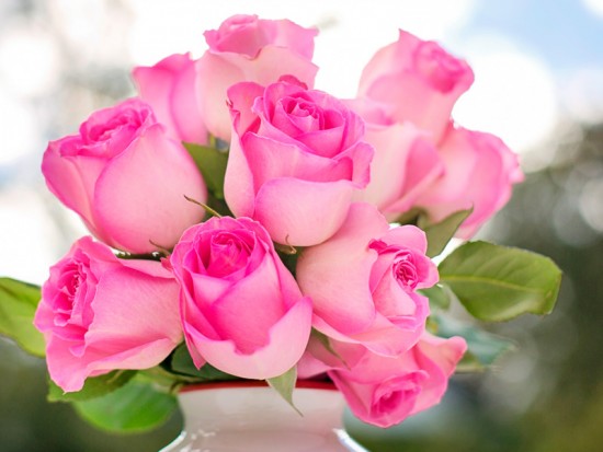 Рожеві троянди у вазі