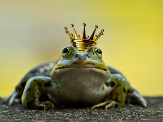Жаба в короні