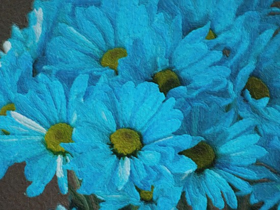 Блакитні квіти